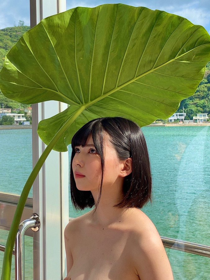 日野莉子(日野りこ)出道作品及封面，日野莉子个人资料-星享社