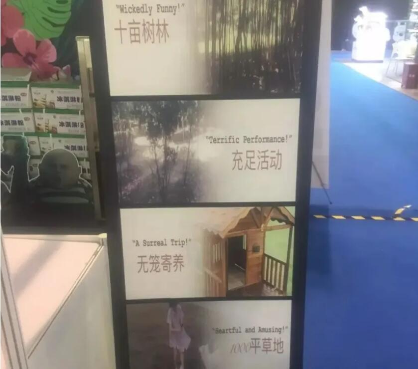 轻创业项目，宠物行业冷门市场–宠物寄养-星享社