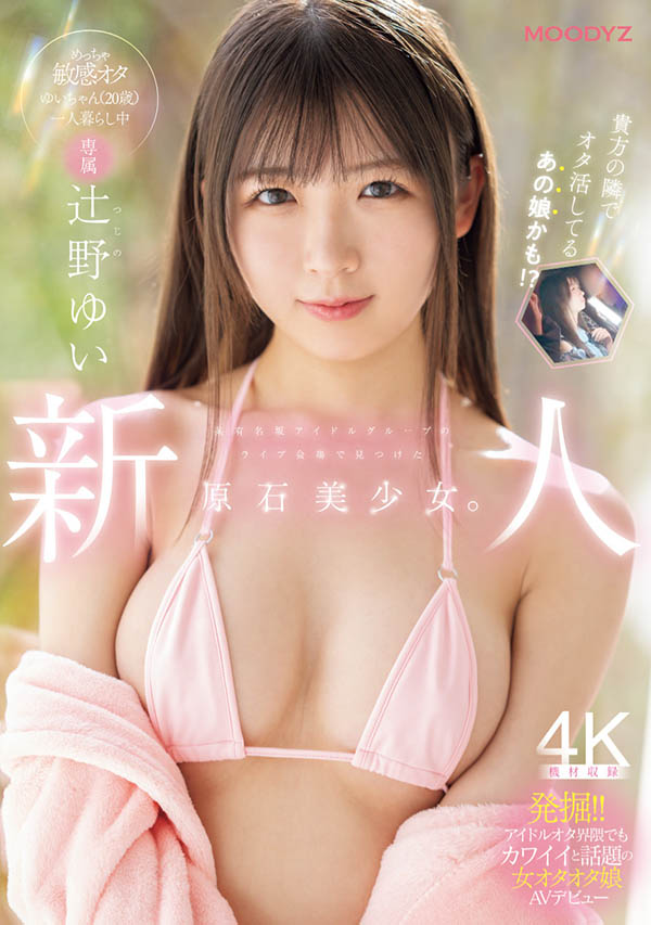 辻野ゆい(辻野唯)最新作品MIDA-228介绍及封面预览-星享社